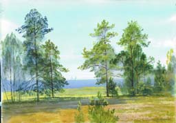 - watercolor - (click here to see full size picture)