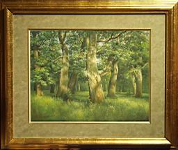Enchanted Forest (click here to see full size picture)