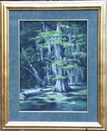 Southern Oak in Santee Swamp (click here to see full size picture)